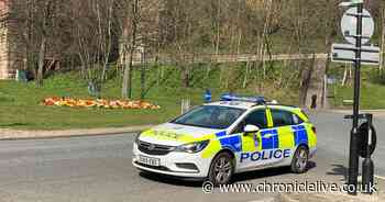 Industrial chemist who died after falling from Durham railway viaduct named