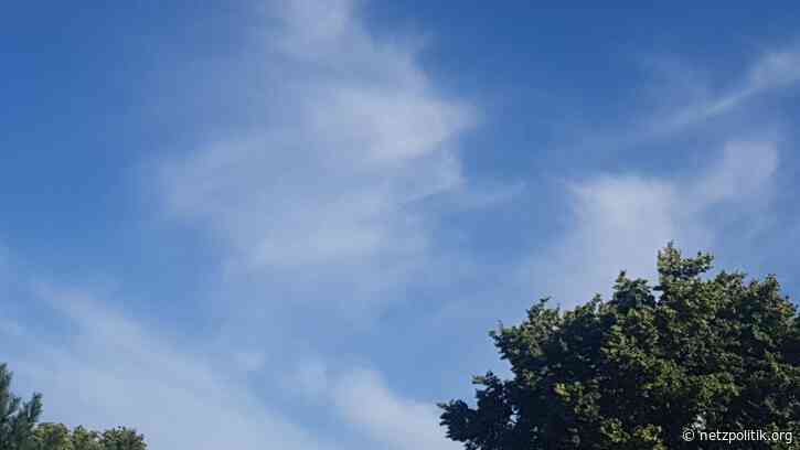 Was vom Tage übrig blieb: BlueLeaks, Boykott und Bias