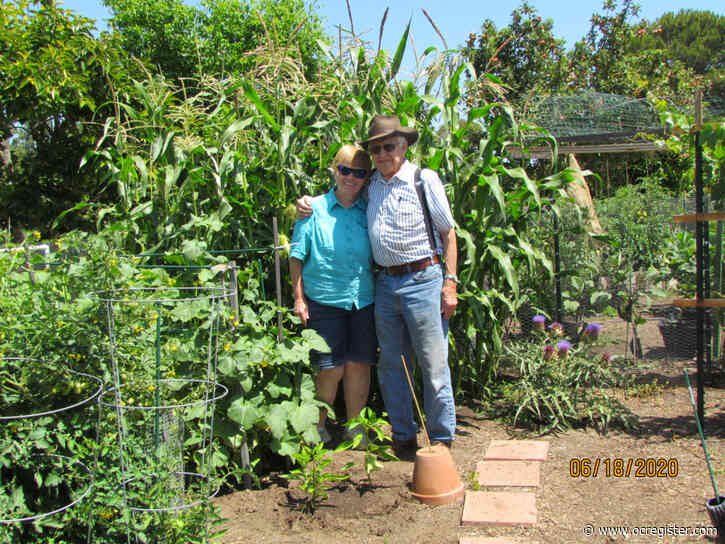Small plots bring big rewards for Laguna Woods Village gardeners
