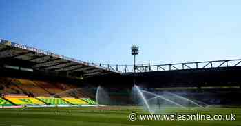 Norwich City v Everton live stream and TV details