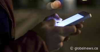 Charges laid against 6 people after Lethbridge swarming caught on video