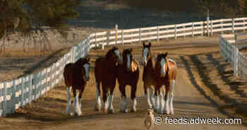 These Classic Budweiser Pals Can’t Wait to See You at the Bar