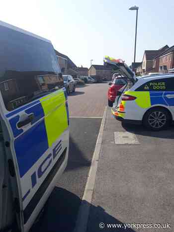 Teenager arrested and drugs seized after raid in Selby