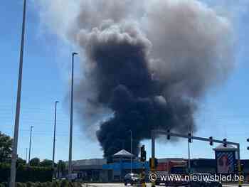 Grote brand op bedrijventerrein in Wijnegem is onder controle: één lichtgewonde