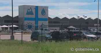 Aurora Cannabis downsizing part of ‘right-sizing’ industry: analyst - Globalnews.ca
