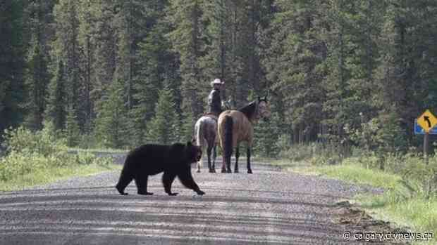 Stampede Parade honorary marshal learns it's not always lonely on the road