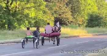 Travellers accused of 'racing ponies' down high street