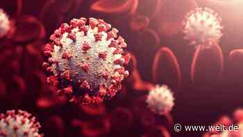 Plötzlich Weltklasse – wie Deutschland zu zwei Champions kam