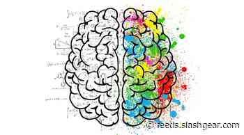 Aphantasia study links ‘blind mind’ condition to other cognitive issues