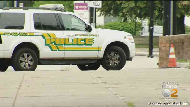 Pittsburgh Public Schools Board To Hear Resolution That Would Remove Or Reduce Officers