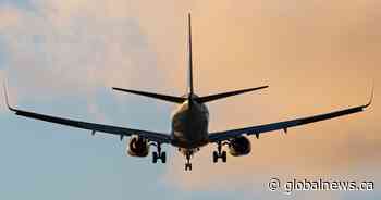 Latest WestJet layoffs affect 3,333 employees as COVID-19 cripples airline industry