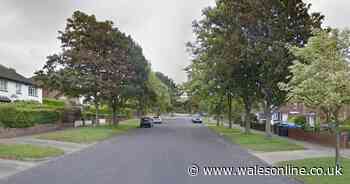 One-year-old baby boy dies after 'drowning in hot tub'