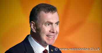 BAME people in Wales criticise Plaid leader's 'dog whistle politics'