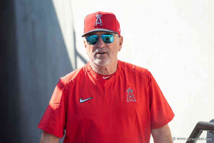 Angels manager Joe Maddon eager to get back to work, with Shohei Ohtani in his rotation