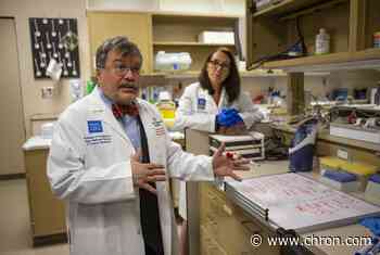 'It's absolutely horrifying': Coronavirus expert warns of dire health crisis amid Texas surge