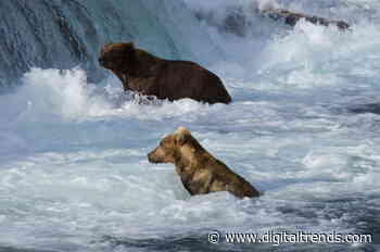 COVID-19 myths, Amazon may offer live TV | Digital Trends Live