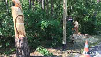 Holzkunst : Polnische Kunst für die Kuckucksaue bei Guben - Lausitzer Rundschau