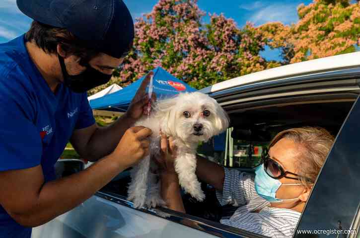Mission Viejo Animal Services’ first drive-through clinic vaccinates record number of pets