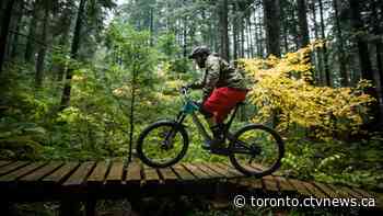 What to look for if you're thinking of buying an e-bike
