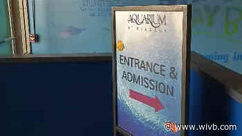 Aquarium of Niagara and Buffalo Museum of Science among places set for Phase 4