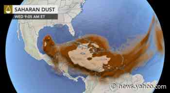 A 'Godzilla' dust cloud from Sahara Desert is nearing US Gulf Coast