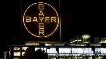 Bayer paying up to $10.9B to settle Monsanto weedkiller case - Lethbridge News Now