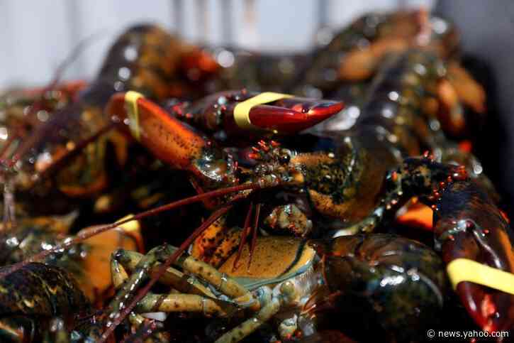 U.S. moves to protect lobster industry, threatens tariffs on China