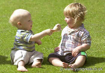 York Museum Gardens reopens to the public today