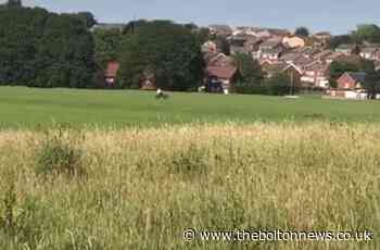 Video: Off road bikes speeding across playing Bolton field