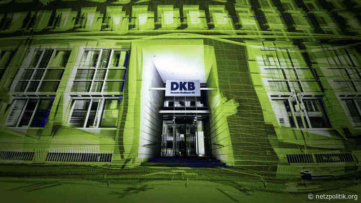 DDoS-Angriffe aus Einsamkeit: Eine Geschichte ungehörter Hilferufe