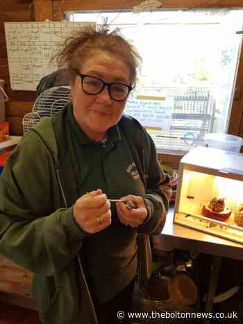 Bird hospital manager admits causing suffering