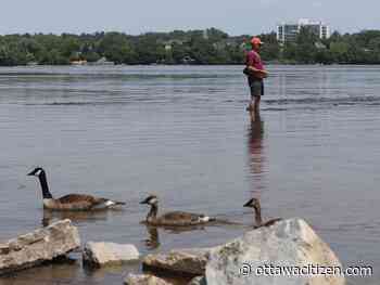 Seasonal temperatures, risk of showers before summer scorches again