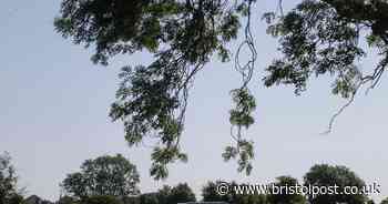 Travellers set up camp on Bristol beauty spot