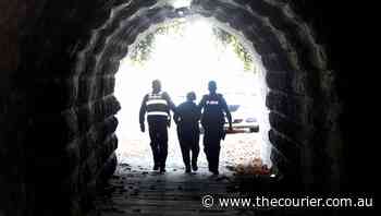 Crime statistics 2020: theft a continuing problem - Ballarat Courier