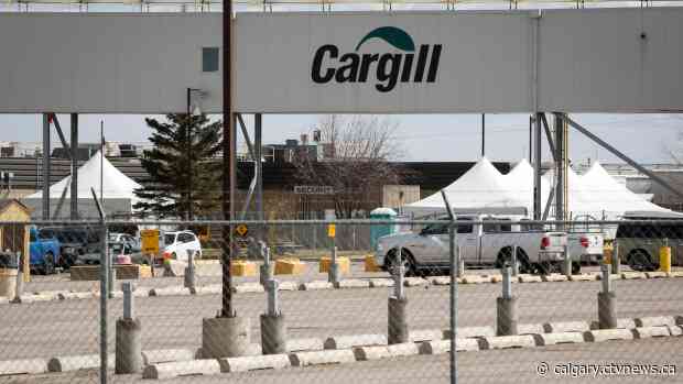 Beef plants nearly back to full capacity after COVID-19, but backlog of cattle