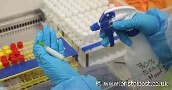 Councils drawing up plans to manage local COVID-19 lockdowns