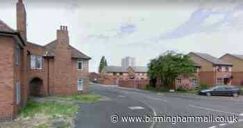 Man and boy, 13, arrested for robbery after police gang squad swoop