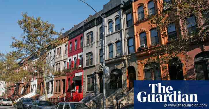 ‘Urban nature’: pandemic reveals wildlife outside our windows and stoops