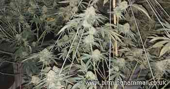 Firefighters find cannabis factory as blaze rips through house in Bilston