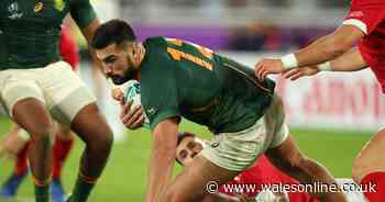 The most exciting new faces you'll see in the PRO14 next season