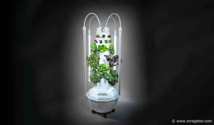 Grow beautiful plants in tight spaces using aeroponics