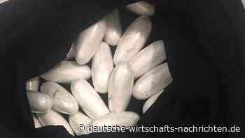 Kokain-Schwemme in Europa: Corona stürzt Hersteller illegaler Drogen in die Krise