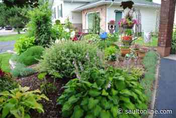 Annual City Beautification Awards to return in 2021
