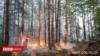 Arctic Circle sees 'highest-ever' recorded temperatures