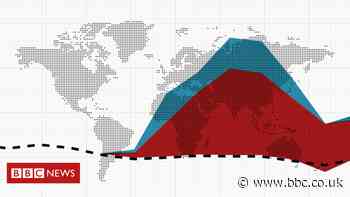 Coronavirus: What is the true death toll of the pandemic?
