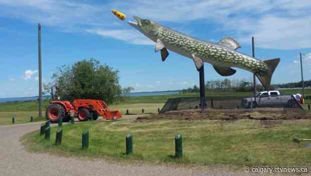 Lifelike 8-metre long northern pike jackfish sculpture arrives at its new central Alberta home