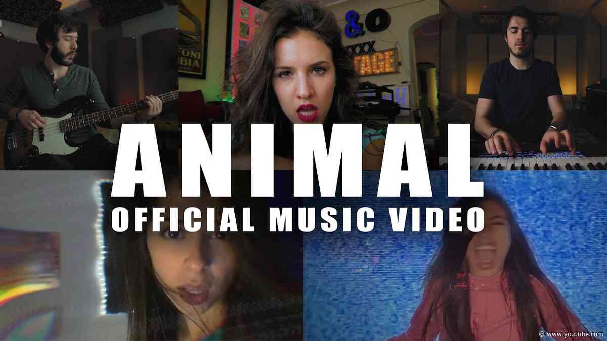 Animals official video. Animal (feat. Jordan Powers & Bekah Novi) Monsterc.