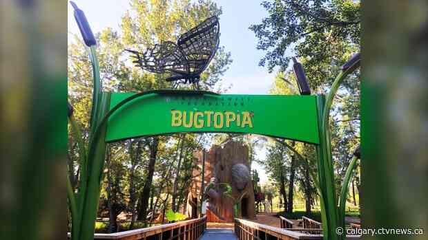 New playground at the Calgary Zoo helps get kids buzzing