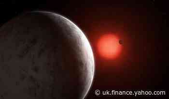 Super-Earths that could be home to alien life discovered nearby, scientists say