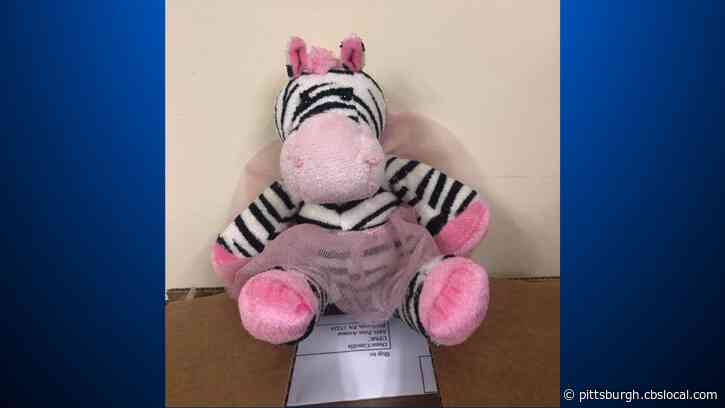 UPMC Children’s Hospital Hopes To Reunite Child With Left-Behind Toy Zebra